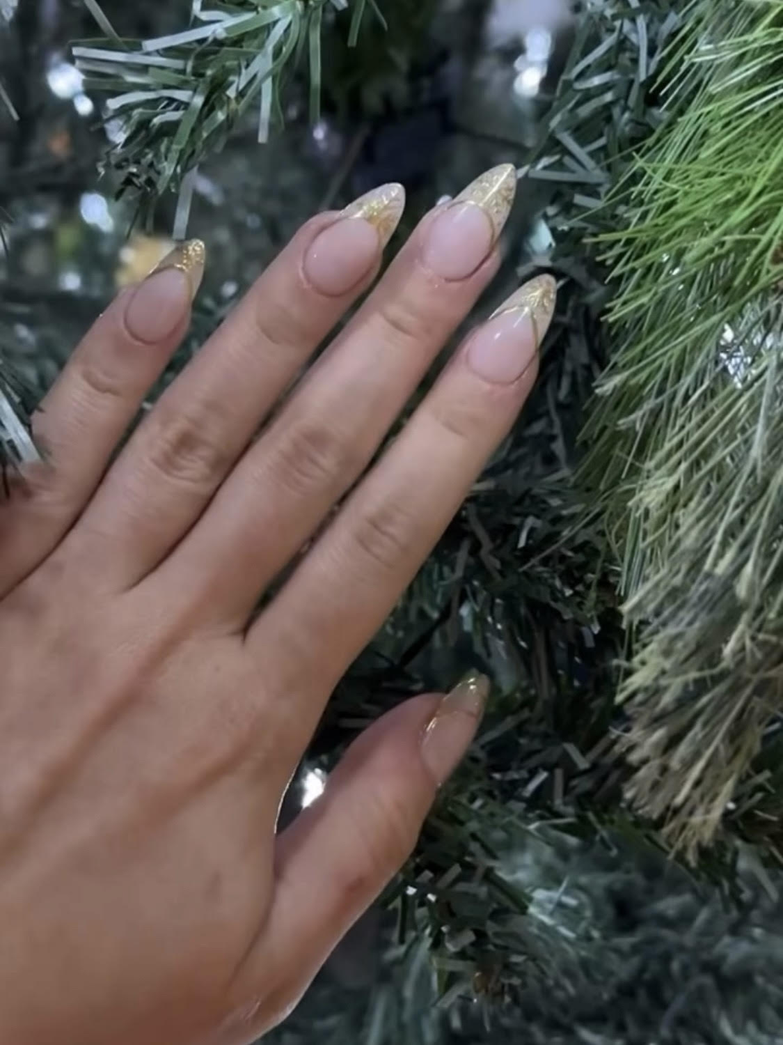 Christmas Collection